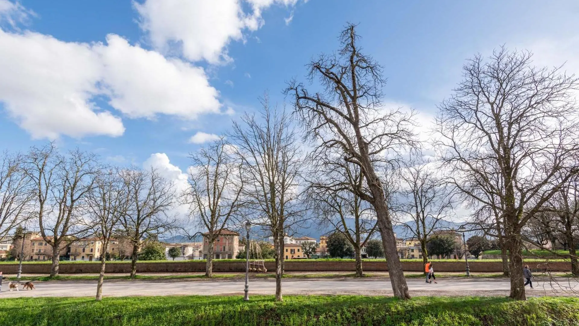 Casa Daria, Modern 4 Bedrooms Apartment In Lucca